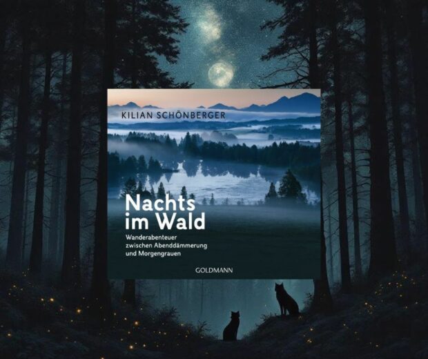 NachtsimWaldHG
