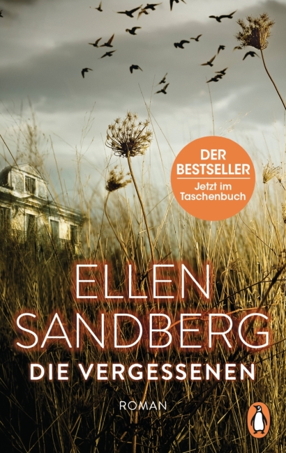 [Rezension] Die Vergessenen – Ellen Sandberg